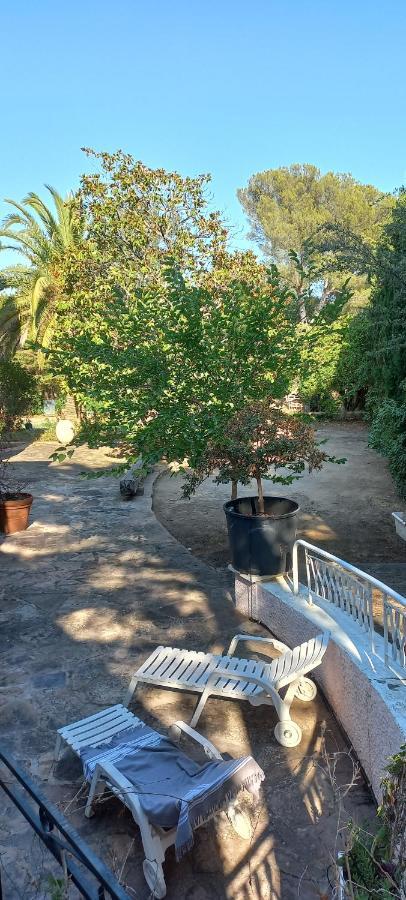 Appartement Et Sa Grande Terrasse En Rez De Jardin Saint Aygulf Esterno foto